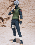 Anime Figurine Display Piece